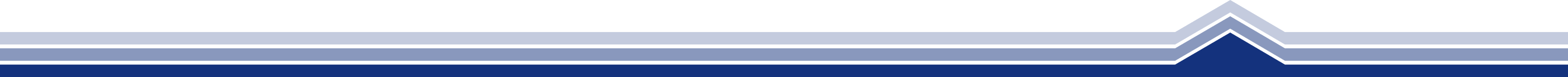 Border blue
